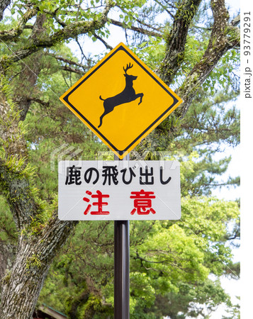 道路標識。本標識(警戒標識)「動物が飛び出すおそれあり」と、「鹿の飛び出し注意」と書かれた補助標識。 93779291