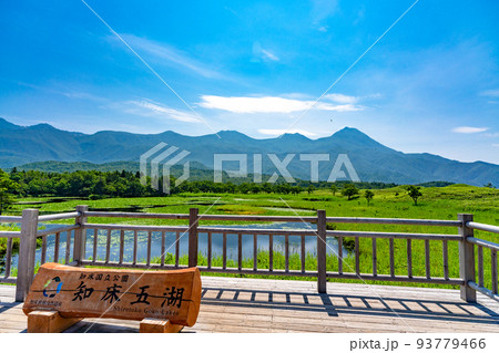 知床五湖 湖畔展望台 93779466