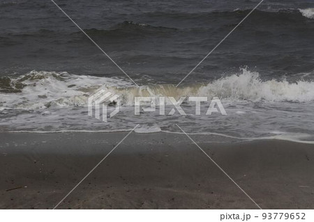 秋が来た稲毛海岸 秋が来た稲毛海岸 93779652