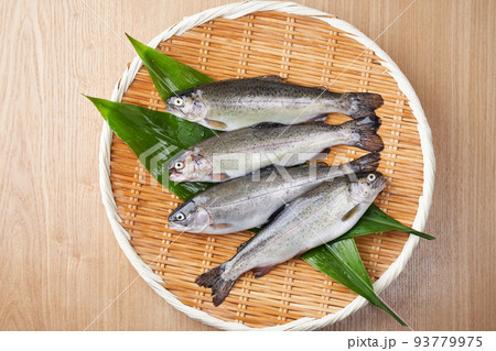 ザルに乗せたニジマス 93779975