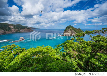黄金岬から宝島、茶津海岸の積丹ブルーの絶景 黄金岬から宝島、茶津海岸の積丹ブルーの絶景 93779986