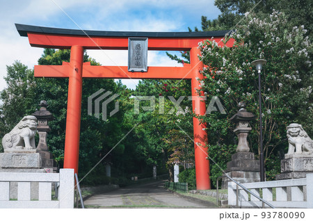 夏の稲毛浅間神社の鳥居前 93780090