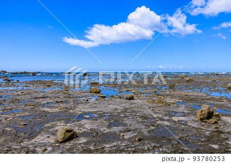 双島付近の海岸 和歌山県串本町 双島付近の海岸 和歌山県串本町 93780253