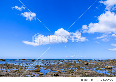 双島付近の海岸 和歌山県串本町 双島付近の海岸 和歌山県串本町 93780255