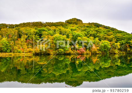 志賀高原 丸池の紅葉 志賀高原 丸池の紅葉 93780259