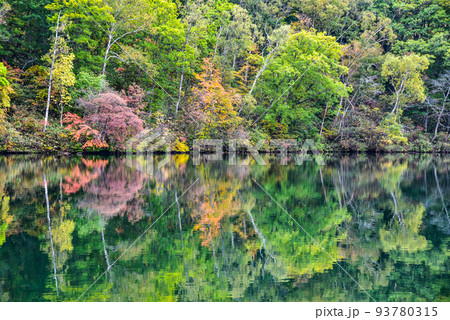 志賀高原 丸池の紅葉 志賀高原 丸池の紅葉 93780315