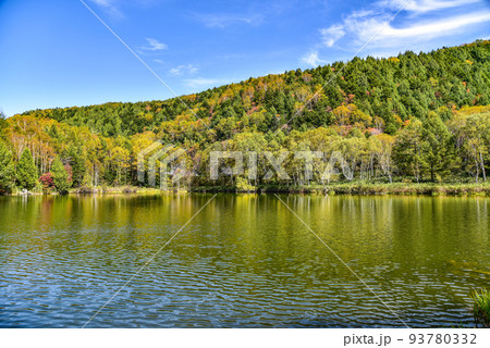 志賀高原　木戸池の紅葉 93780332