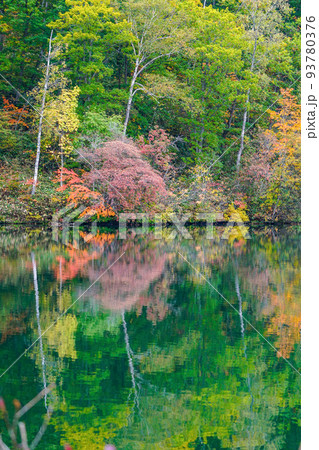 志賀高原 丸池の紅葉 志賀高原 丸池の紅葉 93780376