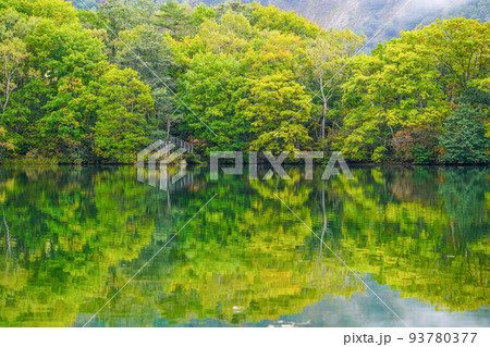 志賀高原　丸池の紅葉 93780377