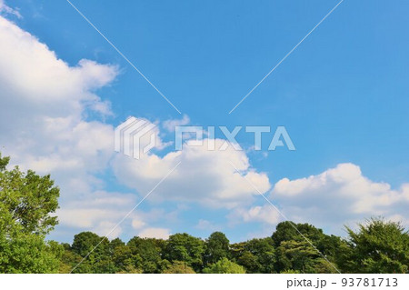 気持ち良い秋空と爽やかな緑に癒されて散歩する　秋の公園　風景 93781713