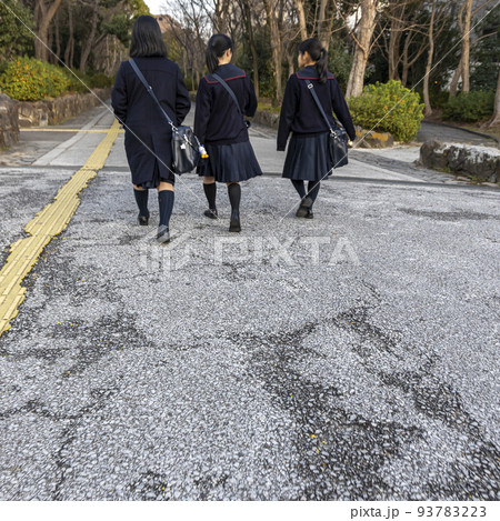 下校中の仲良し三人組、後姿の冬風景 下校中の仲良し三人組、後姿の冬風景 93783223