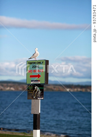 beautiful place in east newzealand 93783471