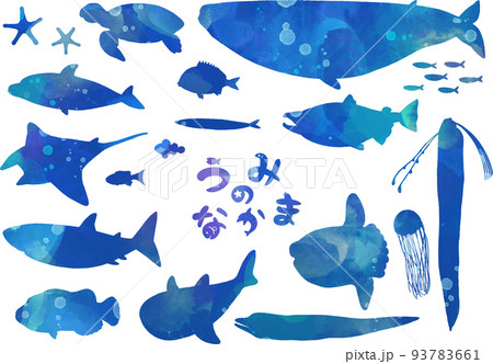 海の生物のイラスト 93783661