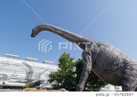 福井駅前の恐竜モニュメント 93783897