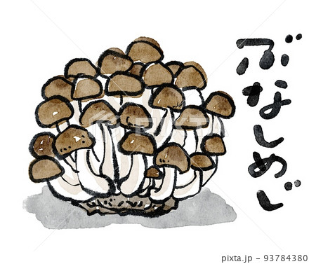 ぶなしめじの水彩イラスト 文字あり 93784380