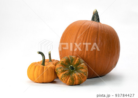 set of big and small organic pumpkins on white background. Autumn harvest. set of big and small organic pumpkins on white background. Autumn harvest. 93784427