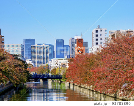 大横川の紅葉・江東区 大横川の紅葉・江東区 93785890