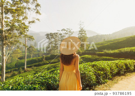 Woman Traveler at The Tea Plantations in Nuwara Eliya, Sri Lanka 93786195