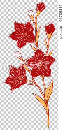 A single bellflower with flowers and buds drawn with a brush and painted in two colors A single bellflower with flowers and buds drawn with a brush and painted in two colors 93786315