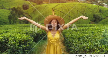 Woman Traveler in Front of Nature Background Tea Plantations Landscape in Sri Lanka Woman Traveler in Front of Nature Background Tea Plantations Landscape in Sri Lanka 93786664