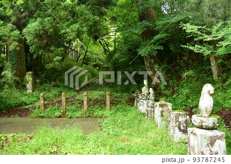 箱根町 箱根旧街道東坂(向坂)と芦川の石仏群 箱根町 箱根旧街道東坂(向坂)と芦川の石仏群 93787245