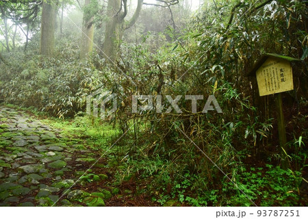 箱根町 箱根旧街道東坂の風越坂石畳 箱根町 箱根旧街道東坂の風越坂石畳 93787251