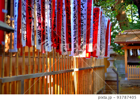 代々木八幡宮 夏越の祓の風景 代々木八幡宮 夏越の祓の風景 93787405