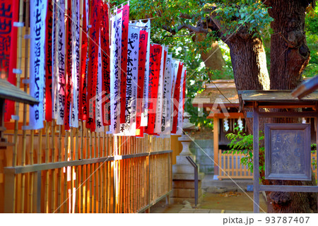 代々木八幡宮  夏越の祓の風景 93787407