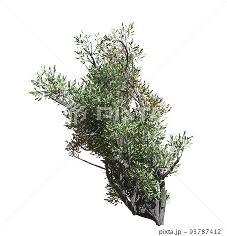 Fantasy tree 3d illustration isolated on white background 93787412