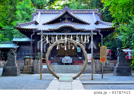 代々木八幡宮 夏越の祓の風景 代々木八幡宮 夏越の祓の風景 93787415