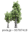 Fantasy tree 3d illustration isolated on white background 93787419