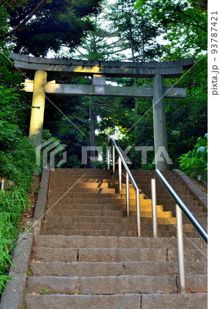 代々木八幡宮  夏越の祓の風景 93787421