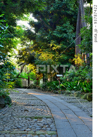 代々木八幡宮  夏越の祓の風景 93787422