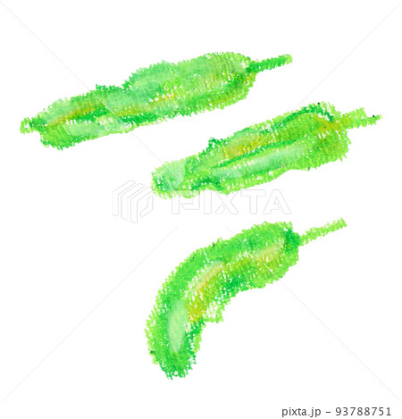 ししとうのクレヨンイラスト 93788751