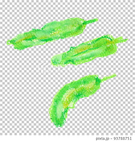 ししとうのクレヨンイラスト 93788751