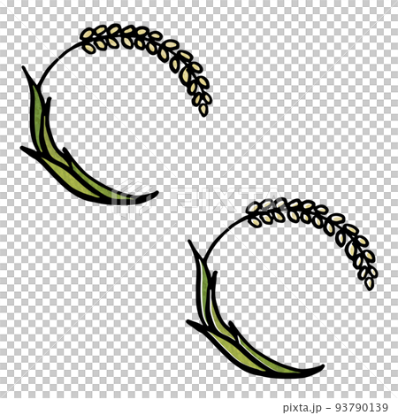 Rice frame illustration with copy space Rice frame illustration with copy space 93790139