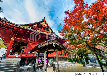 東京都 上野　～紅葉に染まる寛永寺 清水観音堂～ 93790534