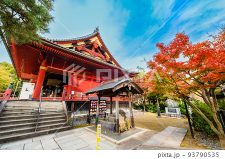 東京都 上野　～紅葉に染まる寛永寺 清水観音堂～ 93790535