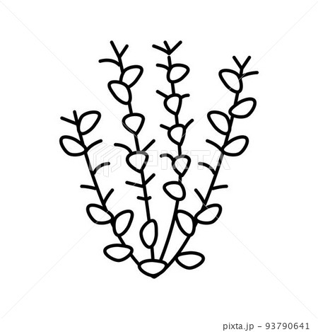 red ludwigia line icon vector illustration 93790641