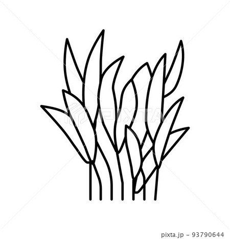 java fern line icon vector illustration java fern line icon vector illustration 93790644