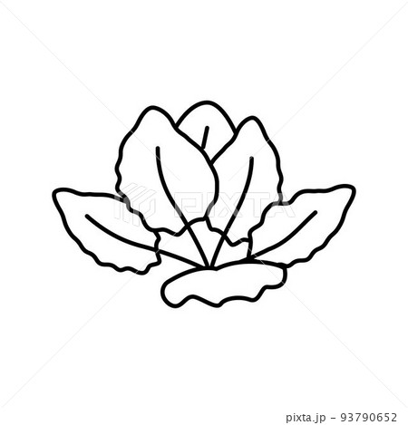 tiger lotus line icon vector illustration 93790652