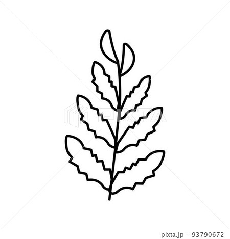 african water fern line icon vector illustration 93790672