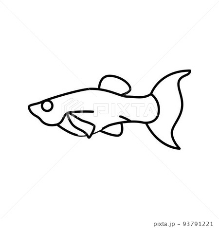 molly fish line icon vector illustration molly fish line icon vector illustration 93791221