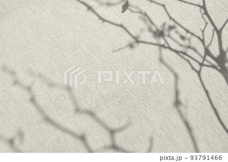 Shadow of branches on beige concrete wall texture background 93791466