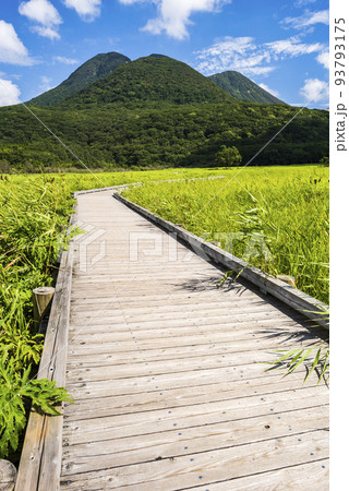 夏のくじゅうタデ原湿原の緑鮮やかな草原 夏のくじゅうタデ原湿原の緑鮮やかな草原 93793175