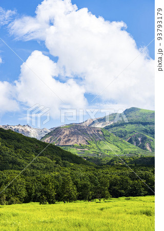夏のくじゅうタデ原湿原の緑鮮やかな草原 夏のくじゅうタデ原湿原の緑鮮やかな草原 93793179