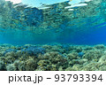 サンゴと水面にもサンゴ 93793394