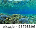 青のサンゴと水中と青い魚 93793396