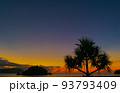 夕焼けと木 93793409