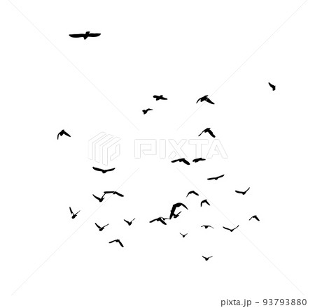 A flock of flying birds. Free birds. Vector illustration A flock of flying birds. Free birds. Vector illustration 93793880
